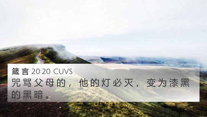 箴 言 20:20 CUVS Bible Verse Image