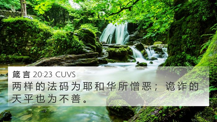 箴 言 20:23 CUVS Bible Verse Image