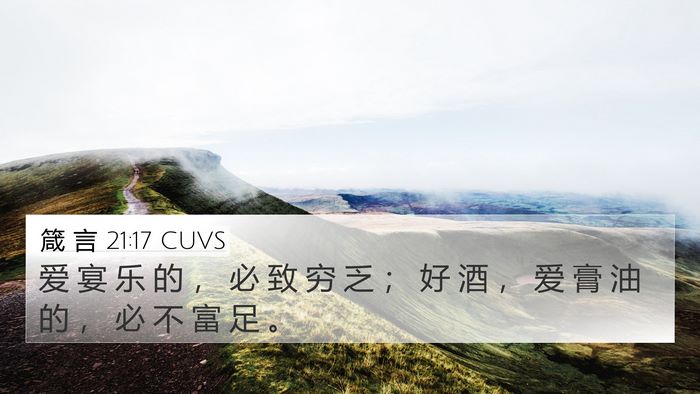 箴 言 21:17 CUVS 4K Wallpaper - 爱 宴 乐 的 ， 必 致 穷 乏 ； 好 酒 - 4K Wallpaper Bible Verse