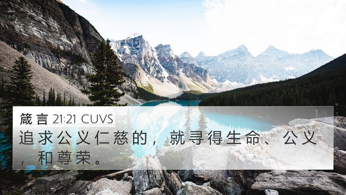 箴 言 21:21 CUVS Bible Verse Image