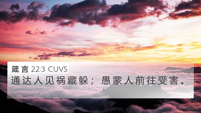 箴 言 22:3 CUVS Bible Verse Image