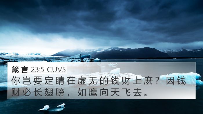 箴 言 23:5 CUVS Bible Verse Image