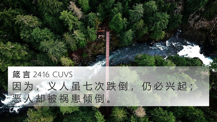 箴 言 24:16 CUVS Bible Verse Image