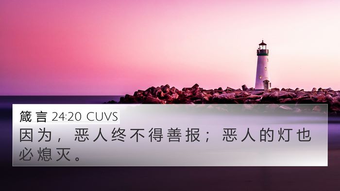 箴 言 24:20 CUVS Bible Verse Image