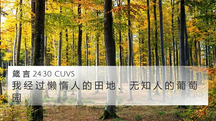 箴 言 24:30 CUVS Bible Verse Image