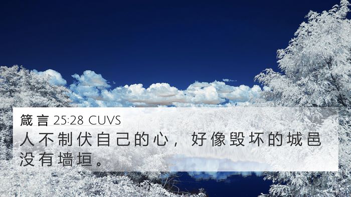 箴 言 25:28 CUVS Bible Verse Image