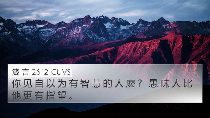 箴 言 26:12 CUVS Bible Verse Image