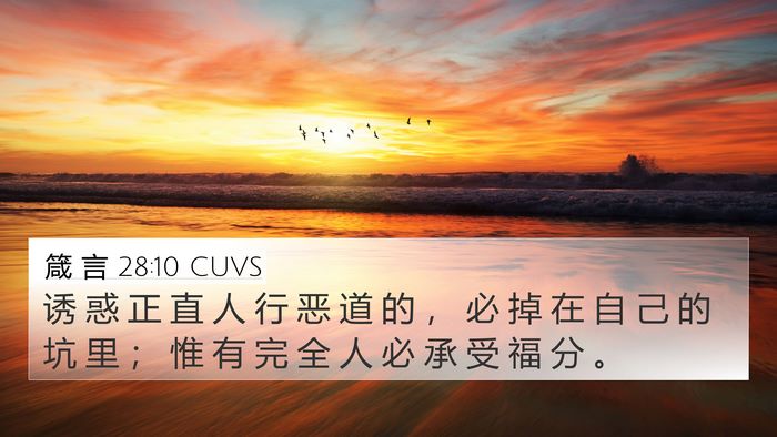 箴 言 28:10 CUVS Bible Verse Image