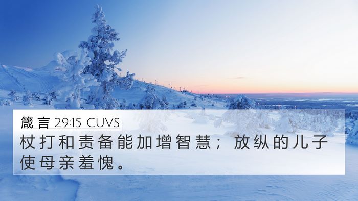 箴 言 29:15 CUVS Bible Verse Image