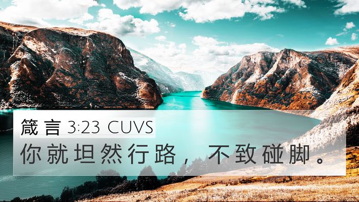 箴 言 3:23 CUVS Bible Verse Image