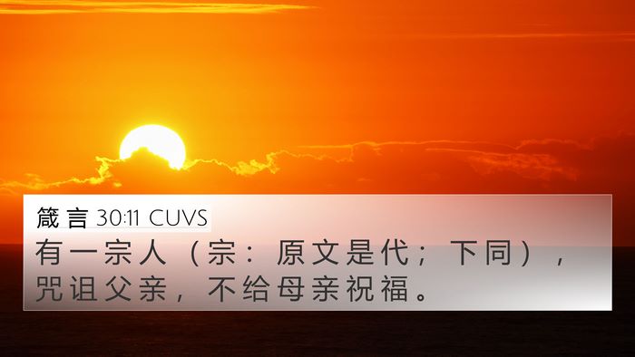 箴 言 30:11 CUVS Bible Verse Image