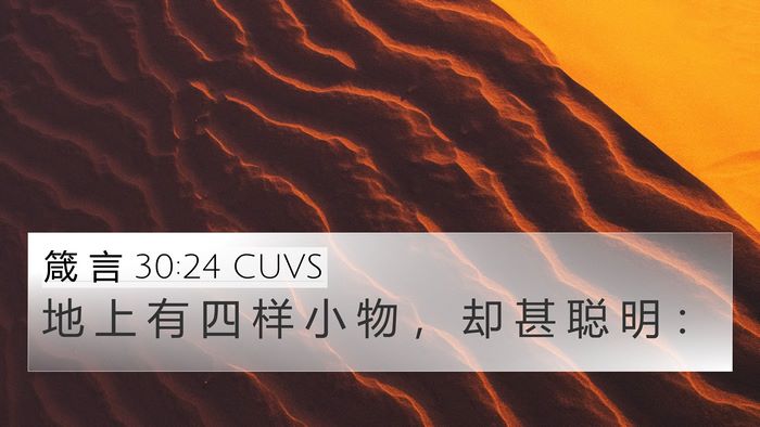 箴 言 30:24 CUVS Bible Verse Image
