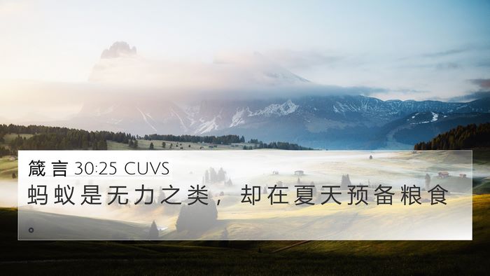 箴 言 30:25 CUVS Bible Verse Image