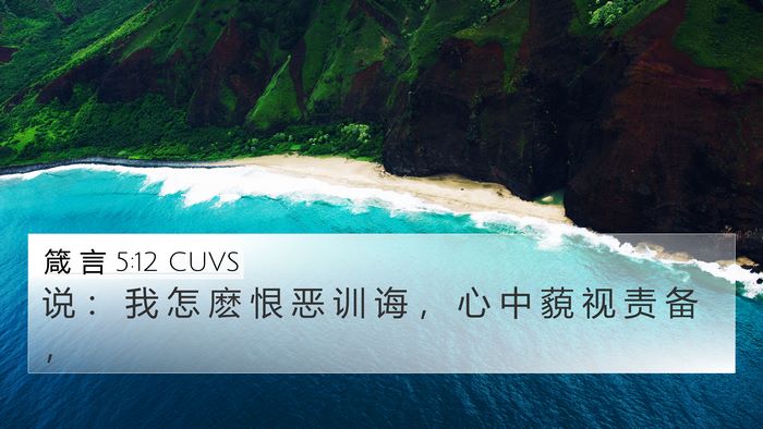 箴 言 5:12 CUVS Bible Verse Image