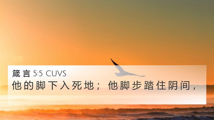 箴 言 5:5 CUVS 4K Wallpaper - 他 的 脚 下 入 死 地 ； 他 脚 步 踏 - 4K Wallpaper Bible Verse