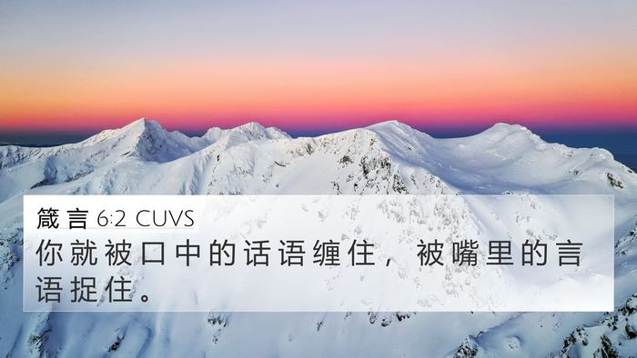 箴 言 6:2 CUVS Bible Verse Image