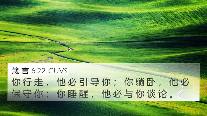 箴 言 6:22 CUVS Bible Verse Image