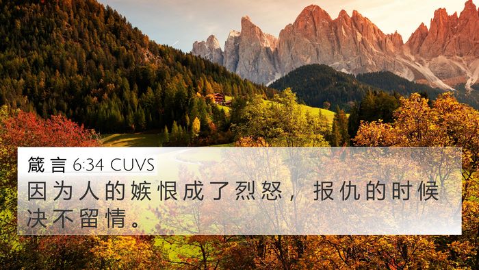 箴 言 6:34 CUVS Bible Verse Image