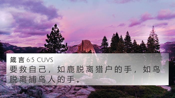 箴 言 6:5 CUVS Bible Verse Image