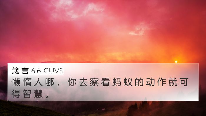 箴 言 6:6 CUVS Bible Verse Image
