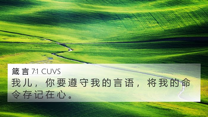 箴 言 7:1 CUVS Bible Verse Image