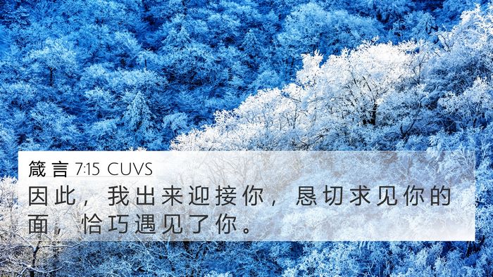 箴 言 7:15 CUVS 4K Wallpaper - 因 此 ， 我 出 来 迎 接 你 ， 恳 切 - 4K Wallpaper Bible Verse
