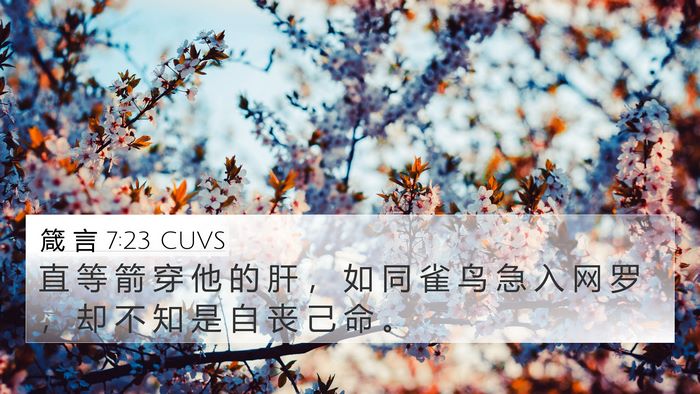 箴 言 7:23 CUVS Bible Verse Image