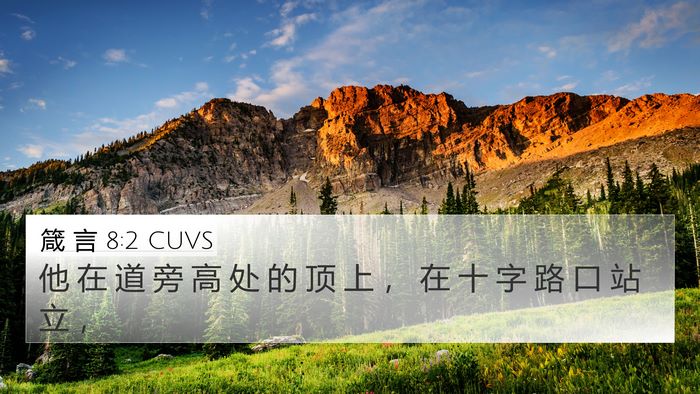 箴 言 8:2 CUVS 4K Wallpaper - 他 在 道 旁 高 处 的 顶 上 ， 在 十 - 4K Wallpaper Bible Verse