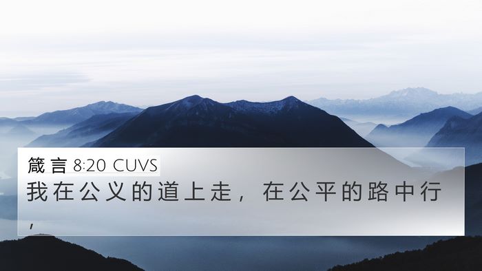 箴 言 8:20 CUVS Bible Verse Image