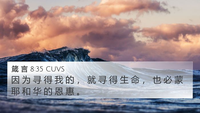 箴 言 8:35 CUVS Bible Verse Image