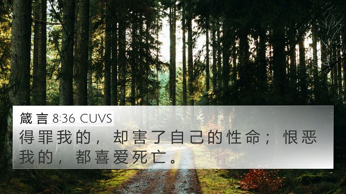箴 言 8:36 CUVS Bible Verse Image