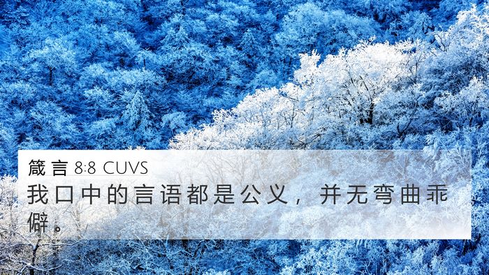 箴 言 8:8 CUVS 4K Wallpaper - 我 口 中 的 言 语 都 是 公 义 ， 并 - 4K Wallpaper Bible Verse