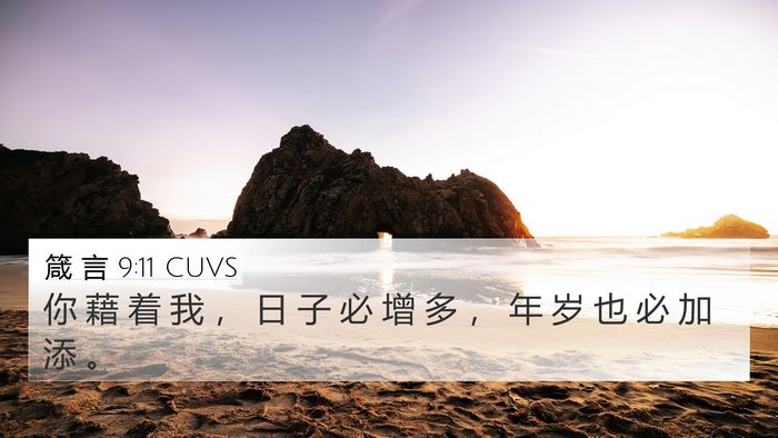 箴 言 9:11 CUVS Bible Verse Image