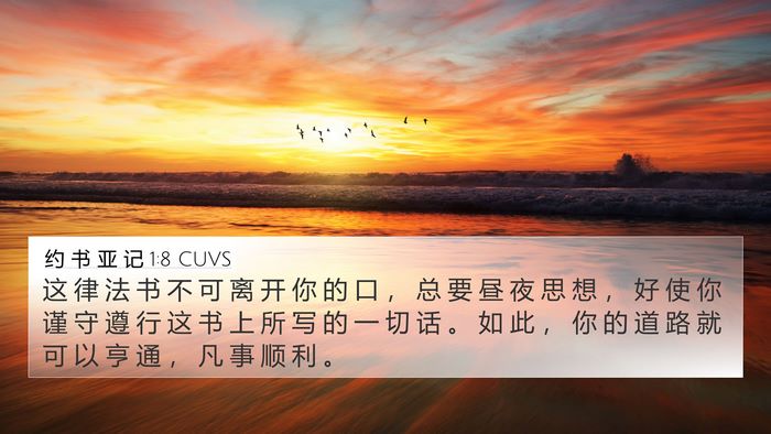 约 书 亚 记 1:8 CUVS Bible Verse Image