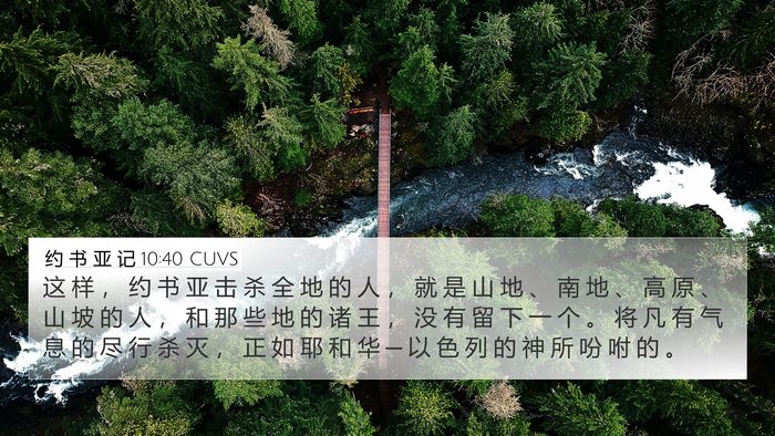 约 书 亚 记 10:40 CUVS Bible Verse Image