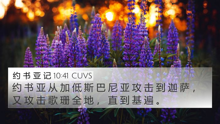 约 书 亚 记 10:41 CUVS Bible Verse Image