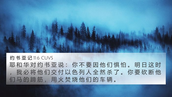 约 书 亚 记 11:6 CUVS Bible Verse Image