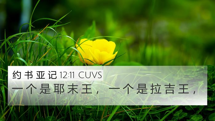 约 书 亚 记 12:11 CUVS Bible Verse Image