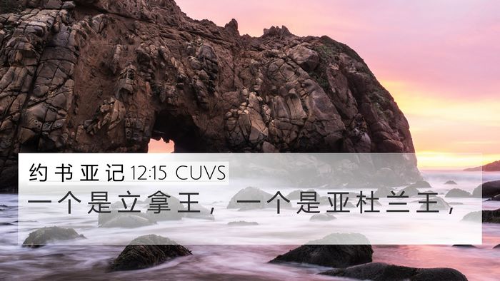 约 书 亚 记 12:15 CUVS Bible Verse Image