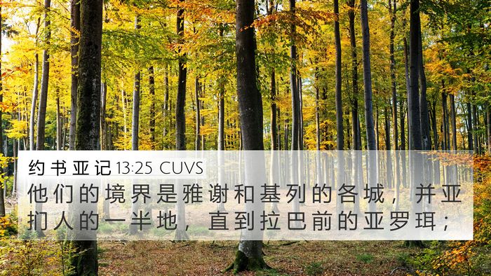 约 书 亚 记 13:25 CUVS Bible Verse Image