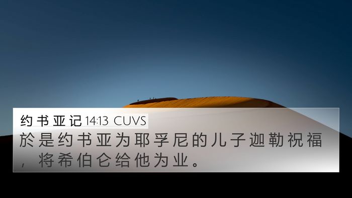 约 书 亚 记 14:13 CUVS Bible Verse Image