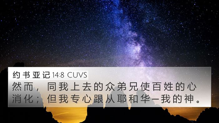 约 书 亚 记 14:8 CUVS Bible Verse Image