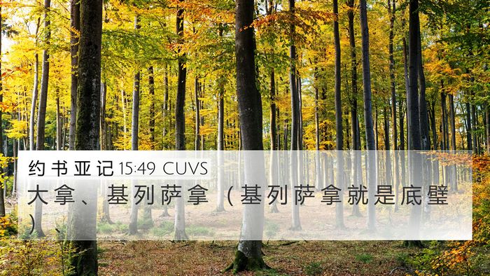 约 书 亚 记 15:49 CUVS 4K Wallpaper - 大 拿 、 基 列 萨 拿 （ 基 列 萨 拿 - 4K Wallpaper Bible Verse