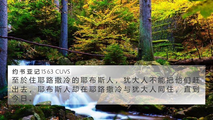 约 书 亚 记 15:63 CUVS Bible Verse Image