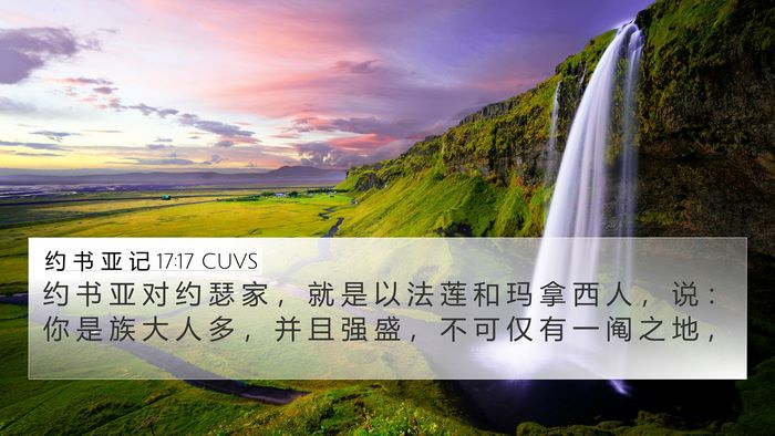 约 书 亚 记 17:17 CUVS Bible Verse Image