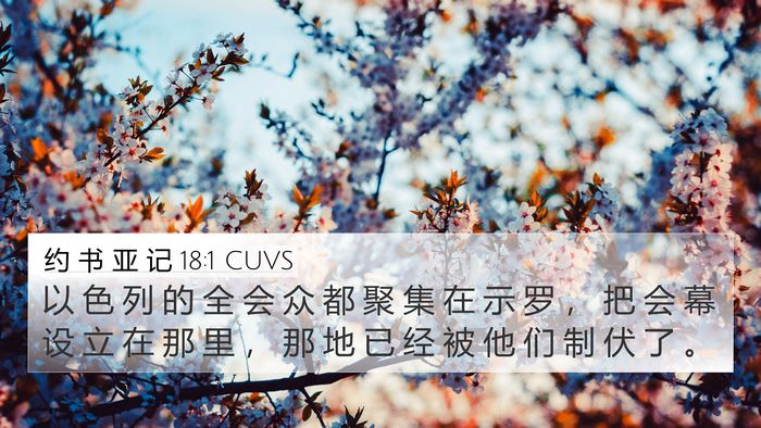 约 书 亚 记 18:1 CUVS Bible Verse Image