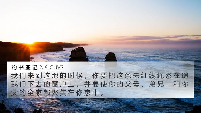 约 书 亚 记 2:18 CUVS Bible Verse Image