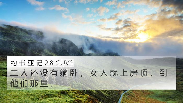 约 书 亚 记 2:8 CUVS Bible Verse Image