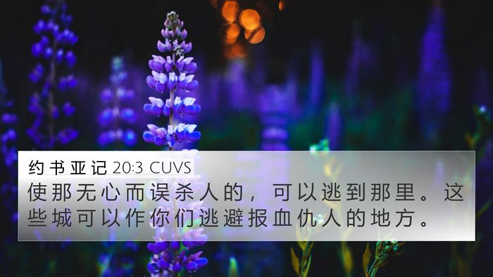约 书 亚 记 20:3 CUVS Bible Verse Image