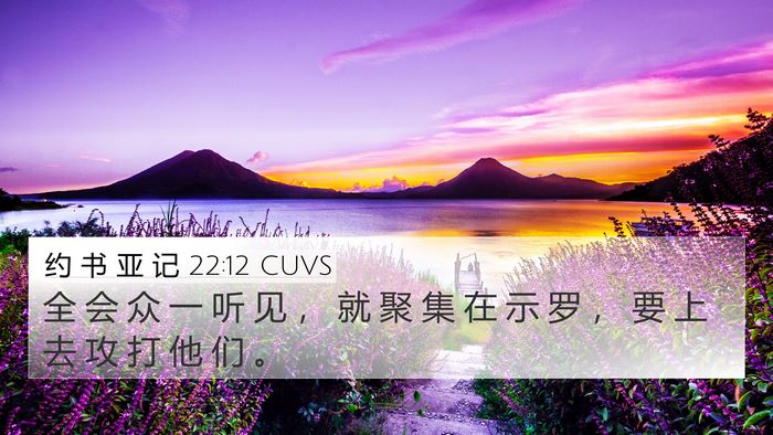 约 书 亚 记 22:12 CUVS Bible Verse Image